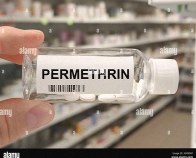 Permetrina crema generica